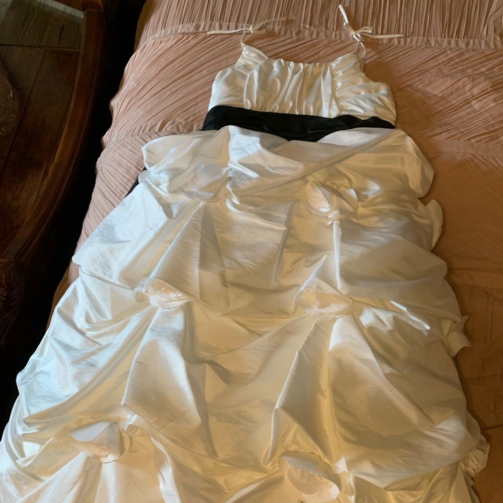 Princess Flower Girl Dress (willing to barter)